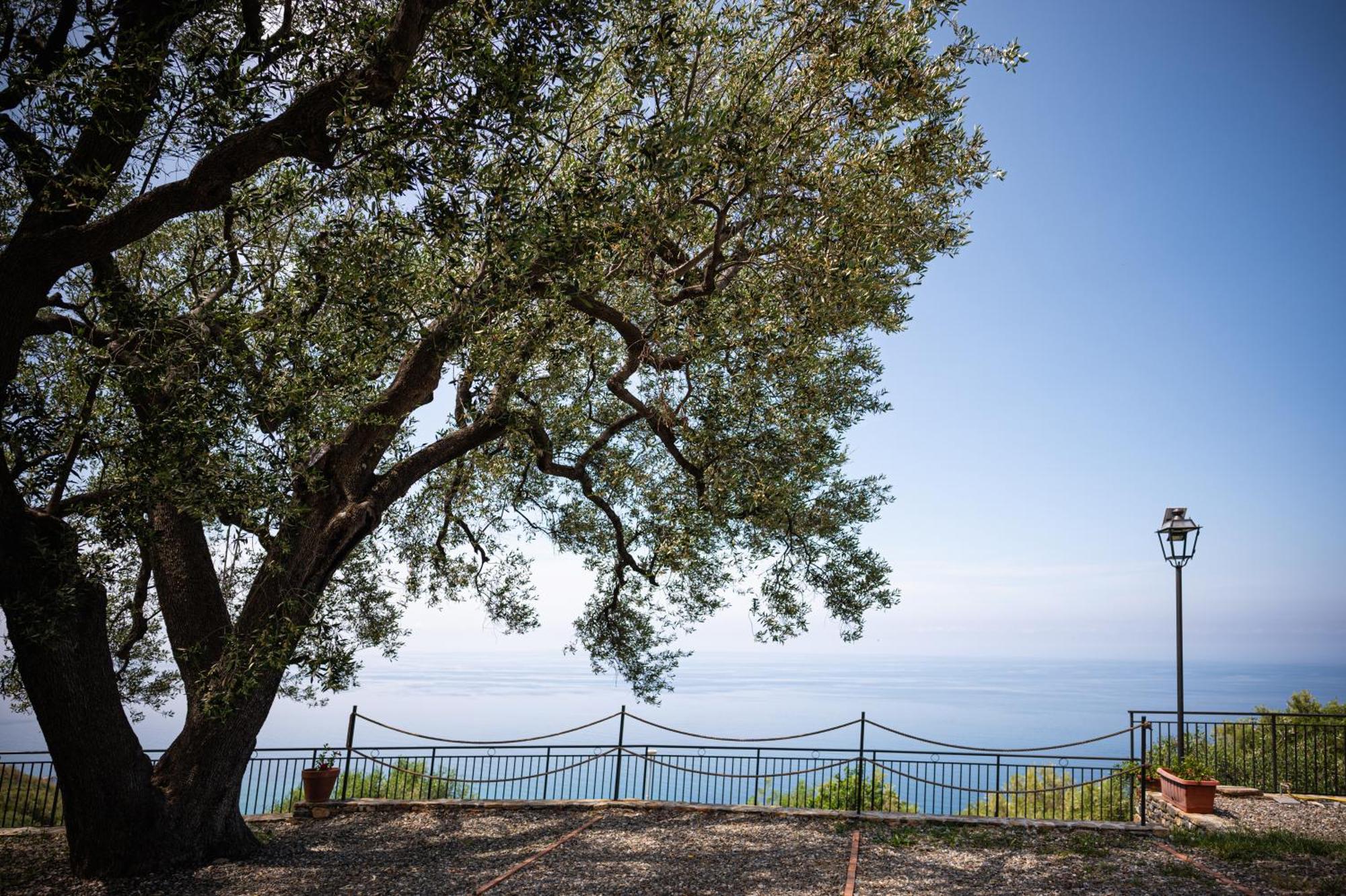 La Casa Del Maestro Attico Appartement Pisciotta Buitenkant foto