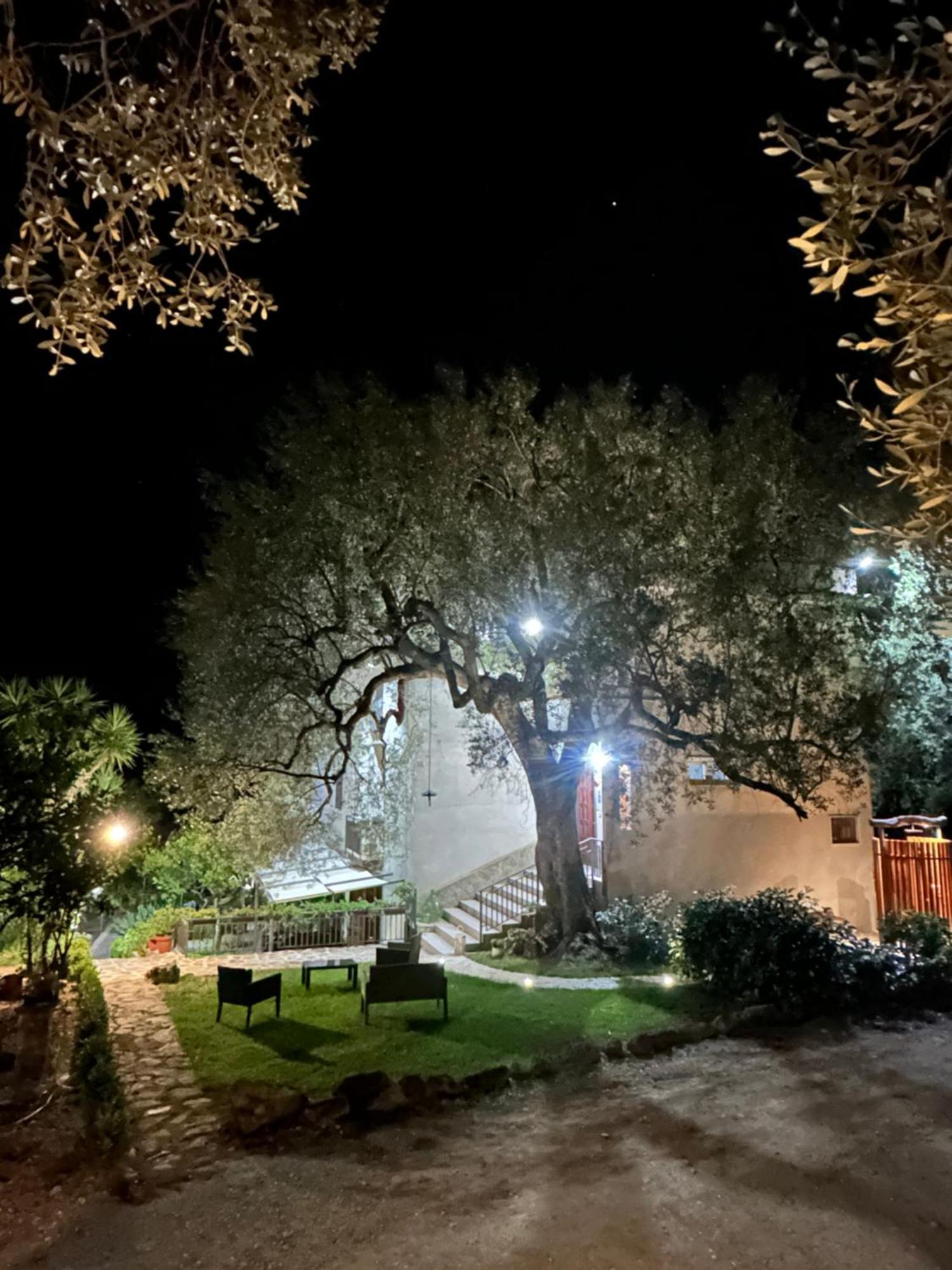 La Casa Del Maestro Attico Appartement Pisciotta Buitenkant foto
