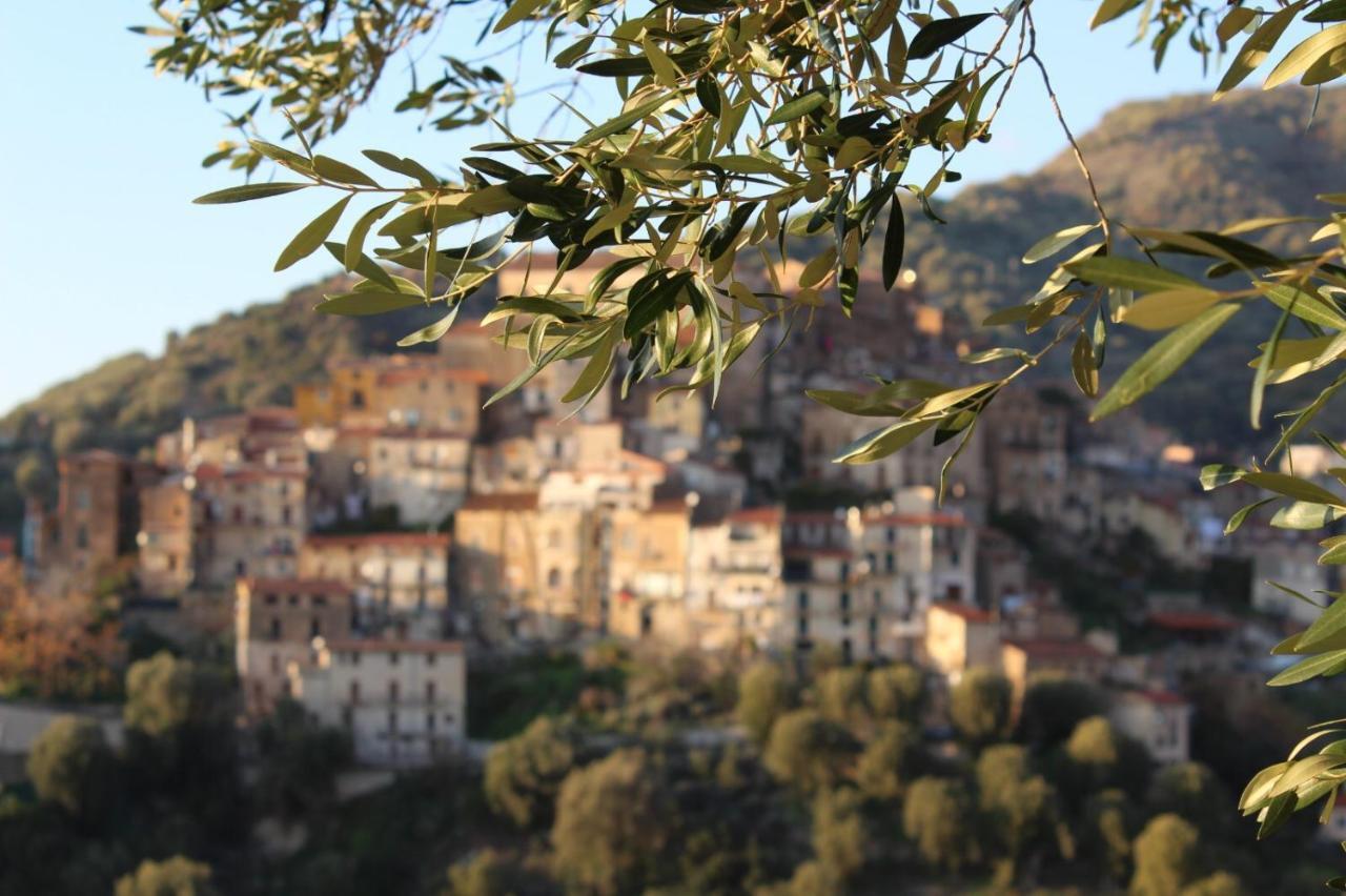 La Casa Del Maestro Attico Appartement Pisciotta Buitenkant foto